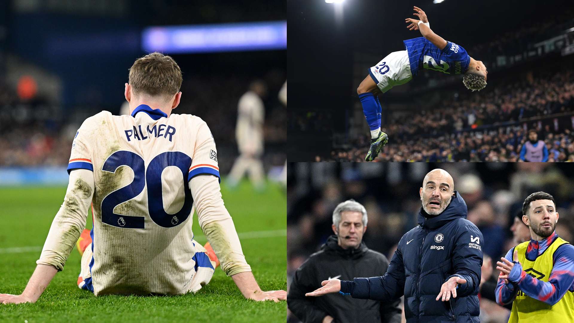 他们不仅代 他们不仅代