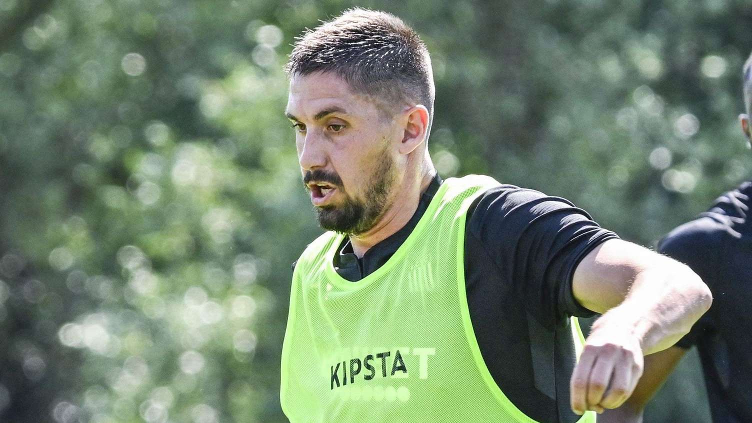 功无疑为这 功无疑为这