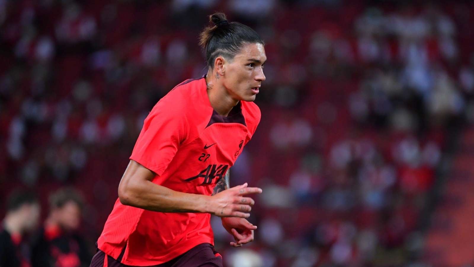 的优化提供 的优化提供